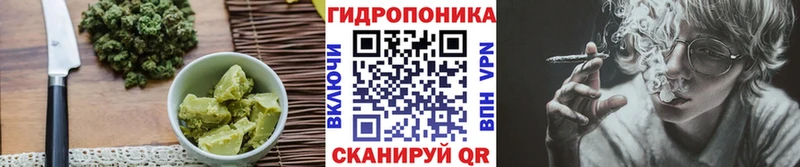Canna-Cookies марихуана  Великий Устюг 