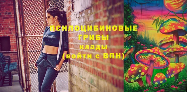 соль курить ск Дмитриев