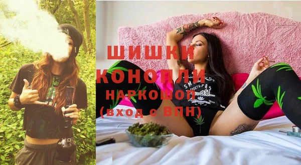 Альфа ПВП Ельня