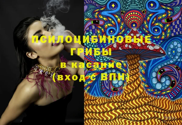 МДПВ Елабуга