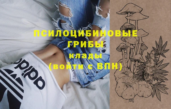 мдма Гусев