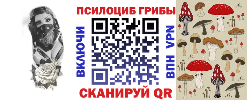 Псилоцибиновые грибы мухоморы  Великий Устюг 